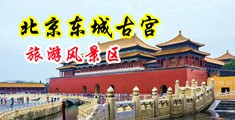 黑丝骚货被操中国北京-东城古宫旅游风景区